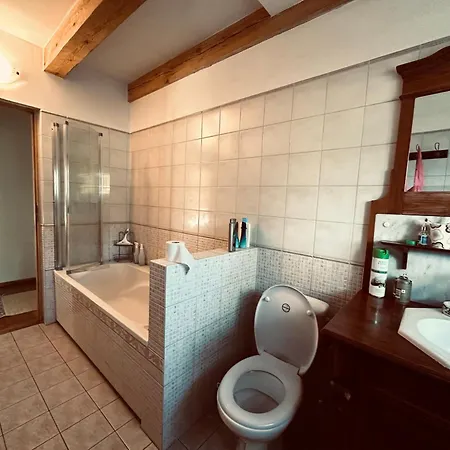 펜션 Dworek Nad Jeziorem Z Prywatna Plaza *