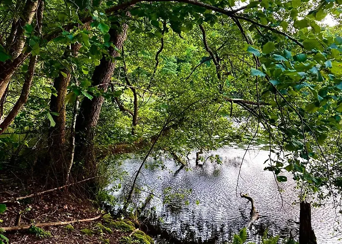 Dworek Nad Jeziorem Z Prywatną Plażą *